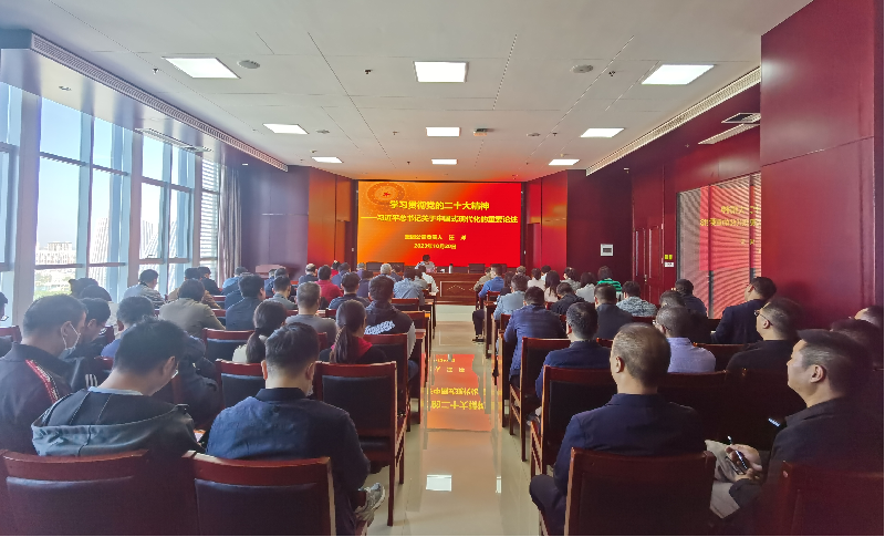 紧跟核心强忠诚 在深学细悟中坚定信仰信念 ——开云·官方站线上登录平台入口-开云(中国)
负责人汪洋同志为全体党员讲授主题教育专题党课